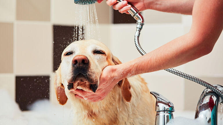 shower running