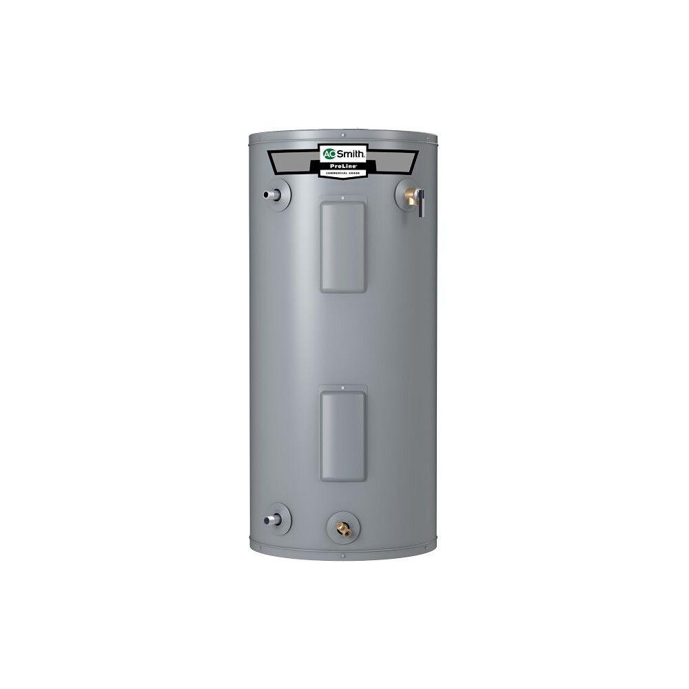 ProLine&reg; 40-Gallon 120-Volt 3000-Watt Mobile Home Electric Water Heater