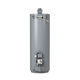 ProLine® XE 50-Gallon High Efficiency Flue Damper Tall Liquid Propane Gas Water Heater