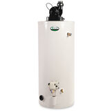 Product Support: ProMax® Power Vent (FVIR Compliant) 50-Gallon Gas Water Heater