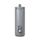 ProLine® XE 40-Gallon High Efficiency Flue Damper Tall Liquid Propane Gas Water Heater