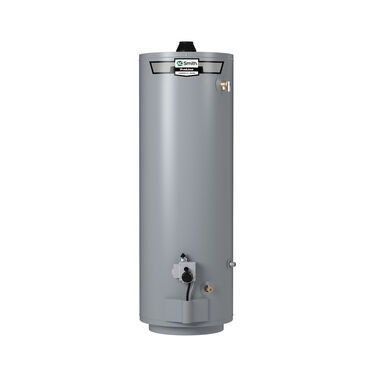 Product Support: ProLine® 50-Gallon Mobile Home Direct Vent Tall Natural Gas Water Heater