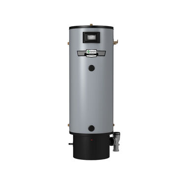 Polaris™ 50-Gallon Power Direct Vent Liquid Propane Gas Water Heater