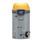 Cyclone® FLEX™ 60-Gallon Condensing Commercial Gas Water Heater with Adaptive Gas Technology