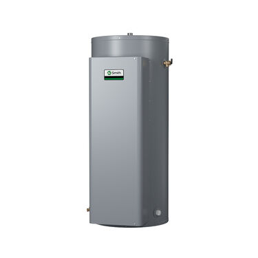 Gold™ Series 50-Gallon ASME Commercial Electric Water Heater